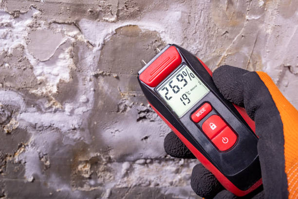 Best Mold Testing  in Orange City, IA