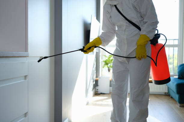 Best Commercial Mold Removal  in Orange City, IA