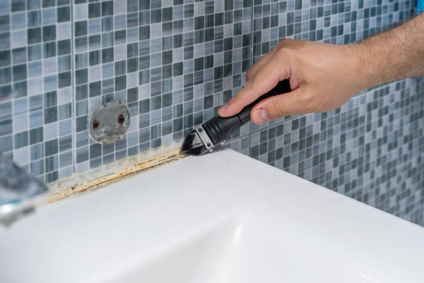 Best Black Mold Removal  in Orange City, IA