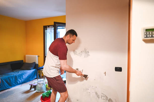 Best Same-Day Mold Removal  in Orange City, IA